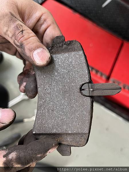 IMG_6148.jpeg IMG_6148.jpeg