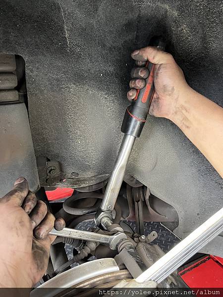 IMG_6152.jpeg IMG_6152.jpeg