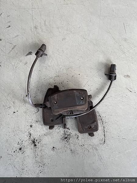 IMG_6155.jpeg IMG_6155.jpeg