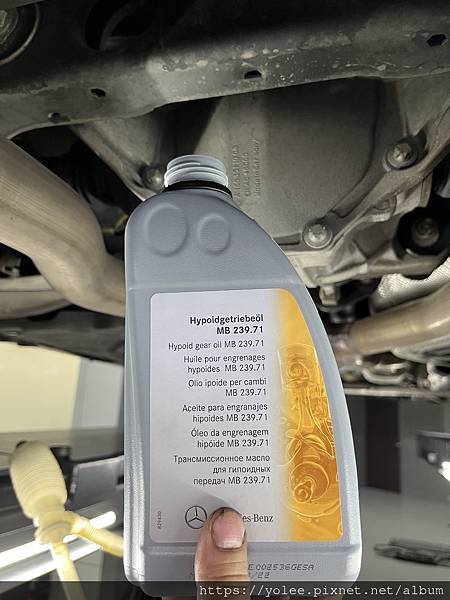 IMG_9381.jpeg IMG_9381.jpeg