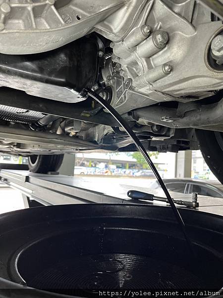 IMG_9422.jpeg IMG_9422.jpeg