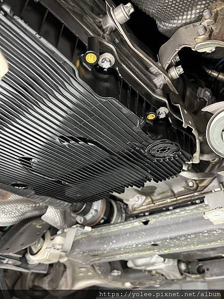 IMG_9435.jpeg IMG_9435.jpeg