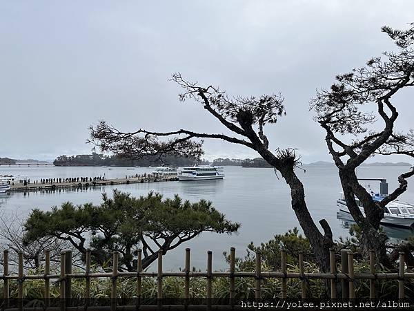 日本東北奇景-探訪藏王樹冰