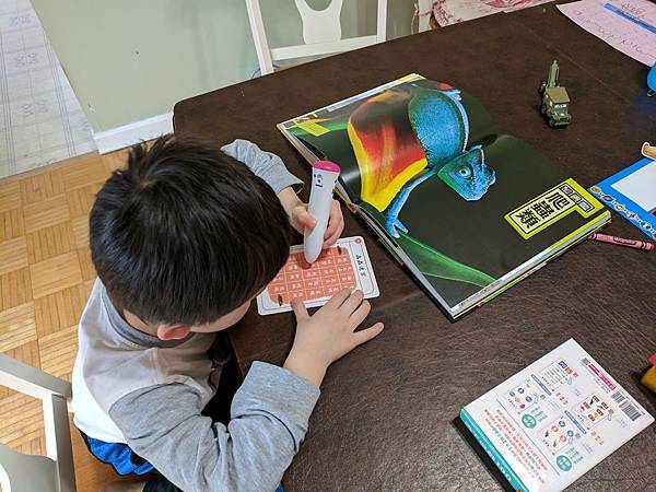 IMG_20190331_155108.jpg IMG_20190331_155108.jpg