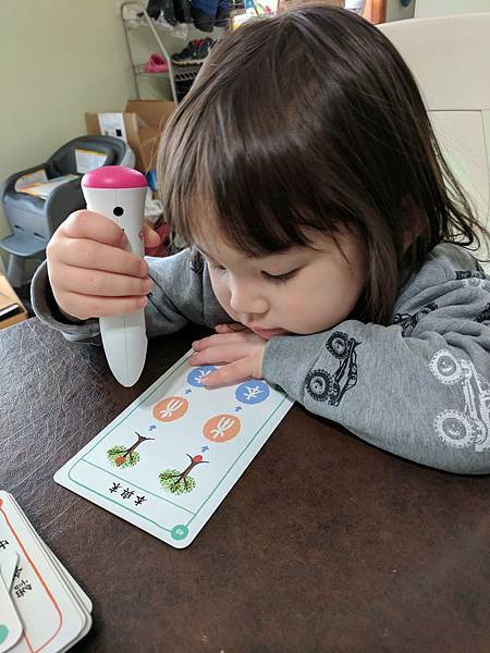 IMG_20190330_104749.jpg IMG_20190330_104749.jpg