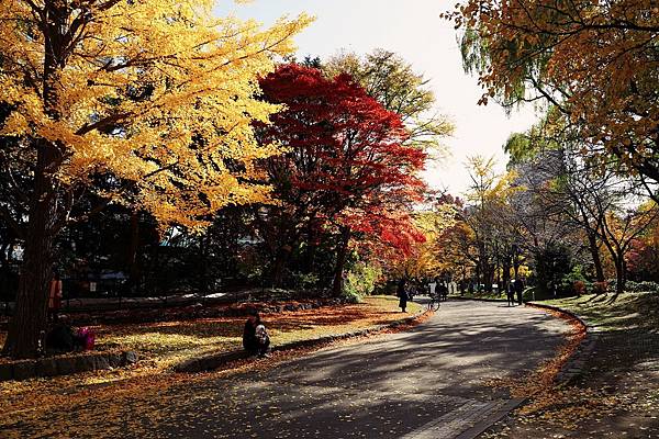 19秋 快閃北海道賞楓葉day２ 上 如夢如畫中島公園 好命人 痞客邦