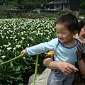 帶婆婆上山看花