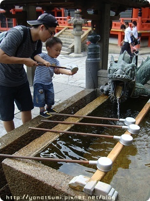 DSC00871.jpg