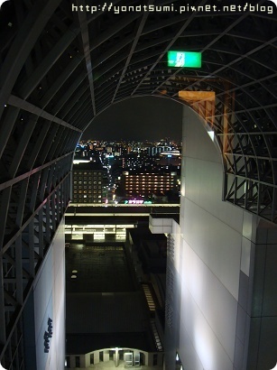 DSC00982.jpg