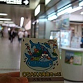 DSC01609.jpg