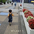 DSC01624.jpg