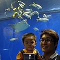 DSC01633.jpg
