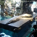 DSC01641.jpg