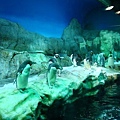 DSC01650.jpg