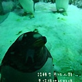DSC01653.jpg