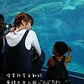 DSC01658.jpg