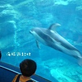 DSC01662.jpg