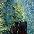 DSC01731.jpg