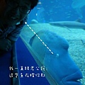 DSC01736.jpg