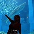 DSC01740.jpg
