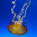 DSC01753.jpg