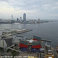 DSC01826.jpg