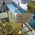 DSC01890.jpg