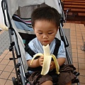 DSC01921.jpg