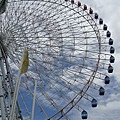 DSC01619.jpg
