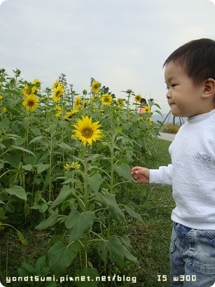 宜蘭河濱公園