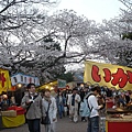 終於到了圓山公園,被裡面的人多嚇一跳