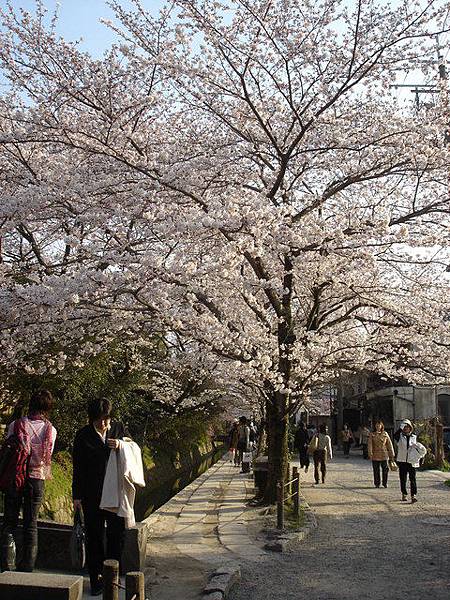 京都街景