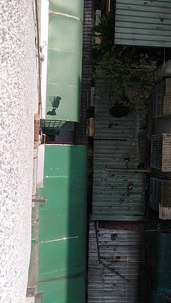 P_20170607_083454_vHDR_Auto