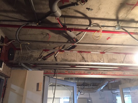 1497867832342 1497867832342