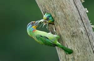 jghjjjjjjj jghjjjjjjj