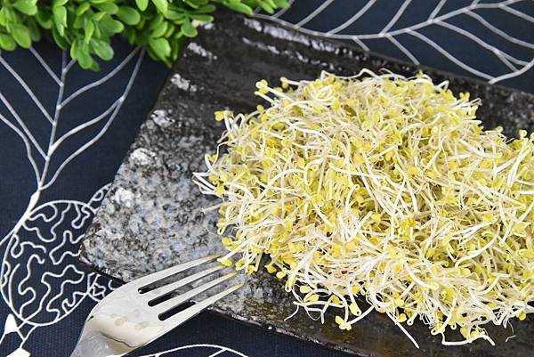 有機蔬菜 有機蔬菜