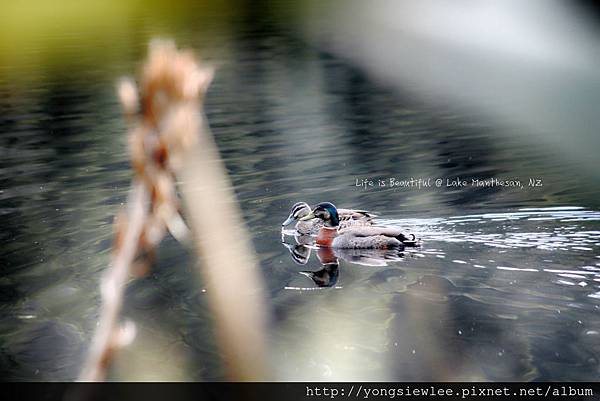 IMG_3273ee_ysl_2.jpg IMG_3273ee_ysl_2.jpg