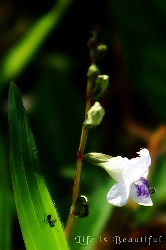 IMG_5514a.jpg IMG_5514a.jpg