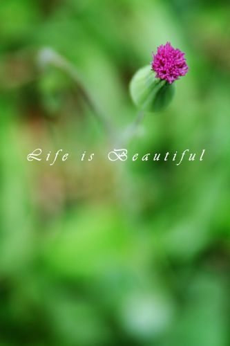 IMG_5775a.jpg IMG_5775a.jpg
