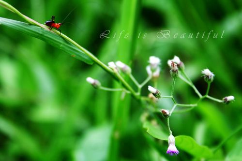 IMG_5784a.jpg IMG_5784a.jpg