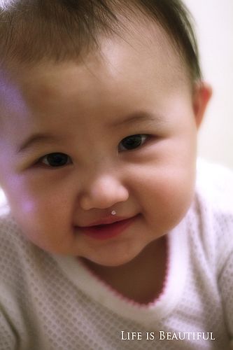 IMG_0111a.jpg IMG_0111a.jpg