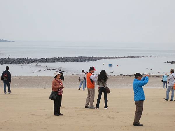 IMG_6115 IMG_6115