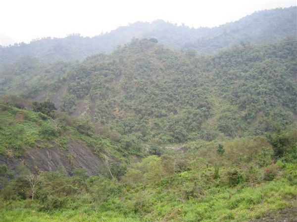 道路另一邊的風景