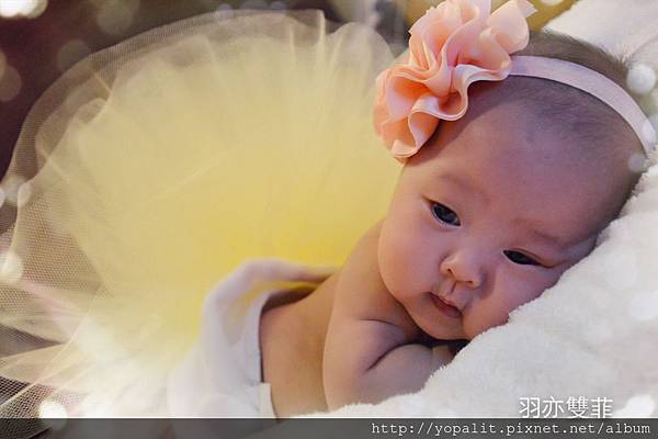 IMG_1595 IMG_1595