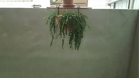 20170721_103108.jpg 20170721_103108.jpg