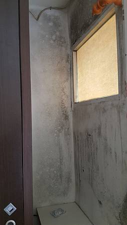 20170315_141504-1.jpg 20170315_141504-1.jpg