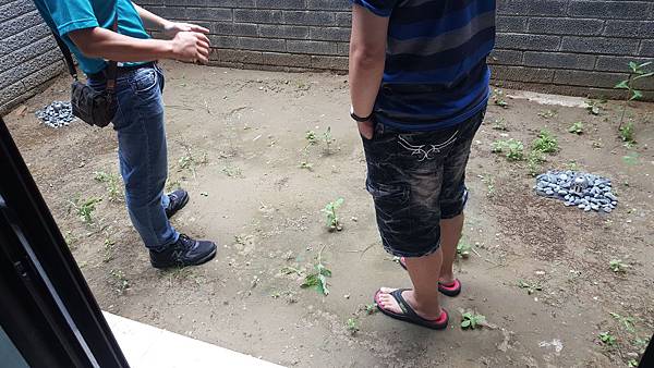 20180915_095539-1.jpg 20180915_095539-1.jpg