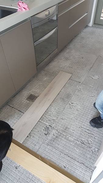 20190225_135608-1.jpg 20190225_135608-1.jpg