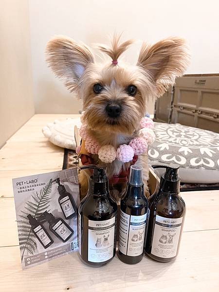 麻糬糬與寵物科研低敏洗毛精