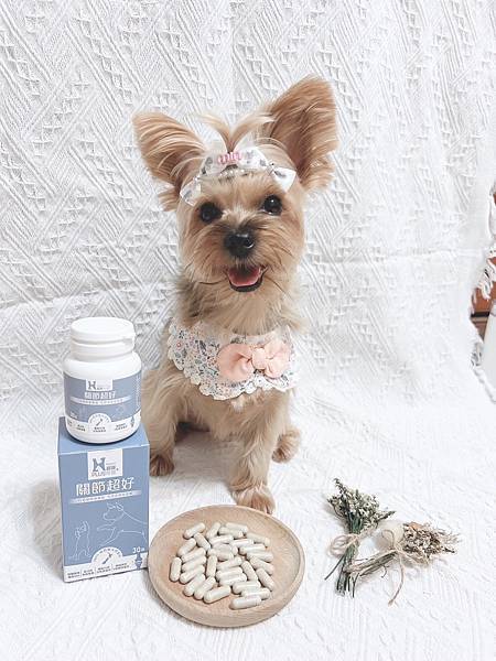 麻糬糬與Hyperr超躍 高濃度GAG關節超好保健品